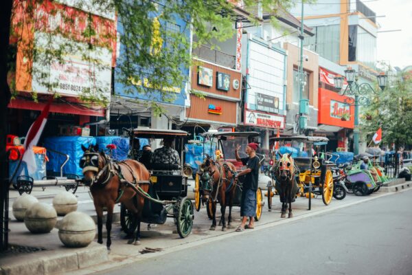 Yogyakarta City Tour Packages - Image 3